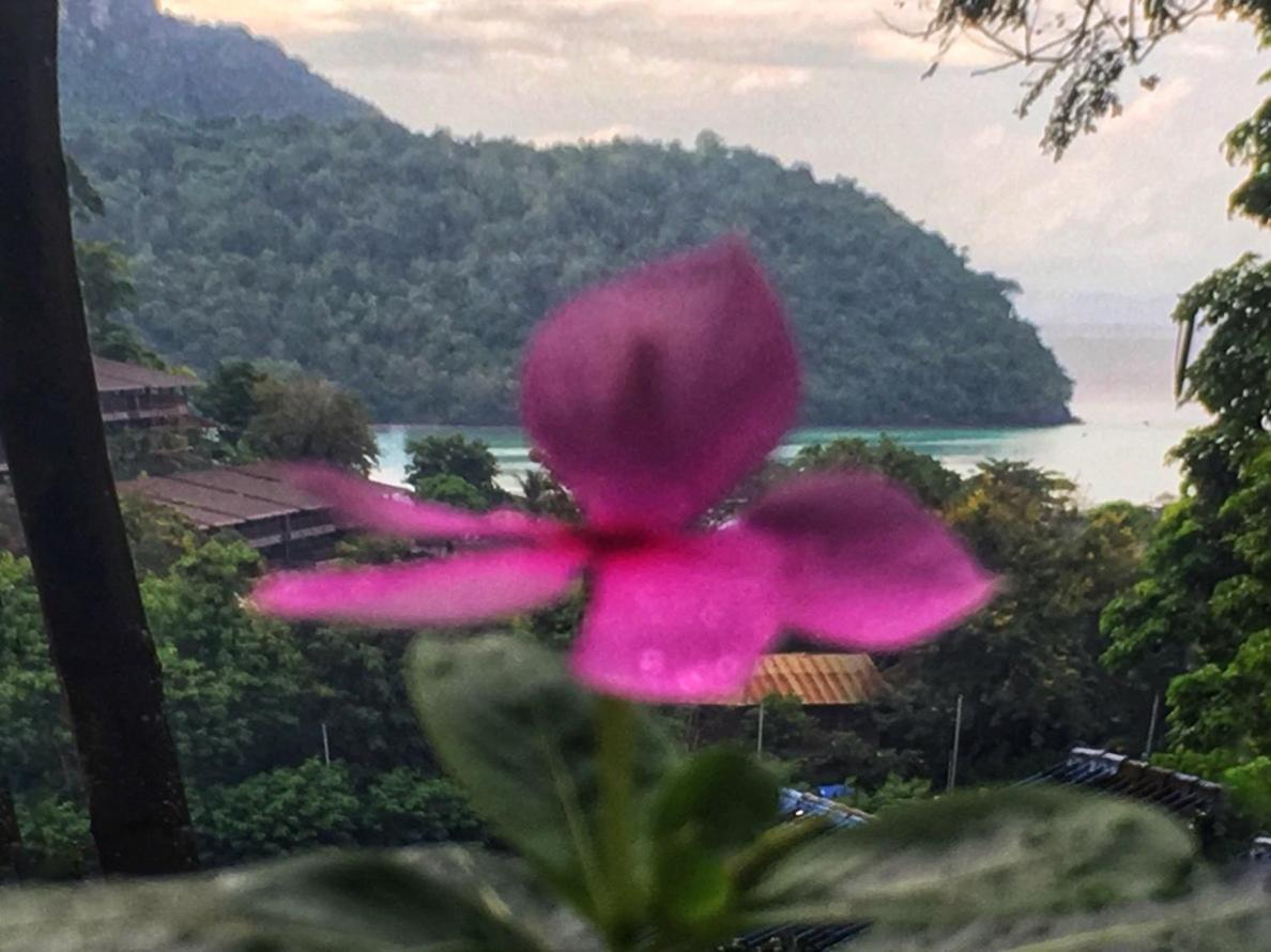 Phi Phi Sea And Hill Resort Bagian luar foto